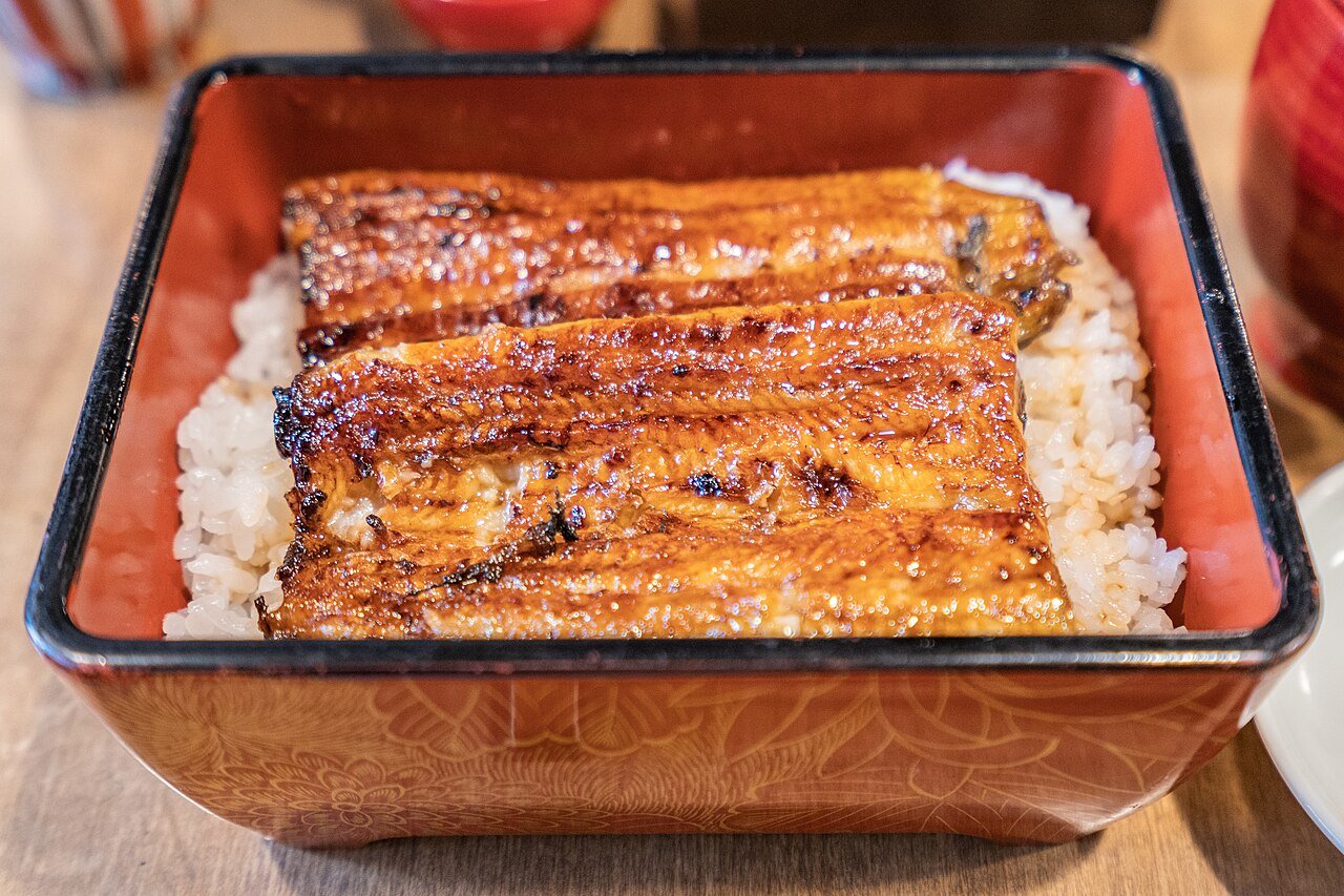 Mengapa Ikan Unagi Dijual Dengan Harga Yang Sangat Tinggi: